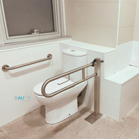 Baño Accesible con barra a piso y barra recta, color acero